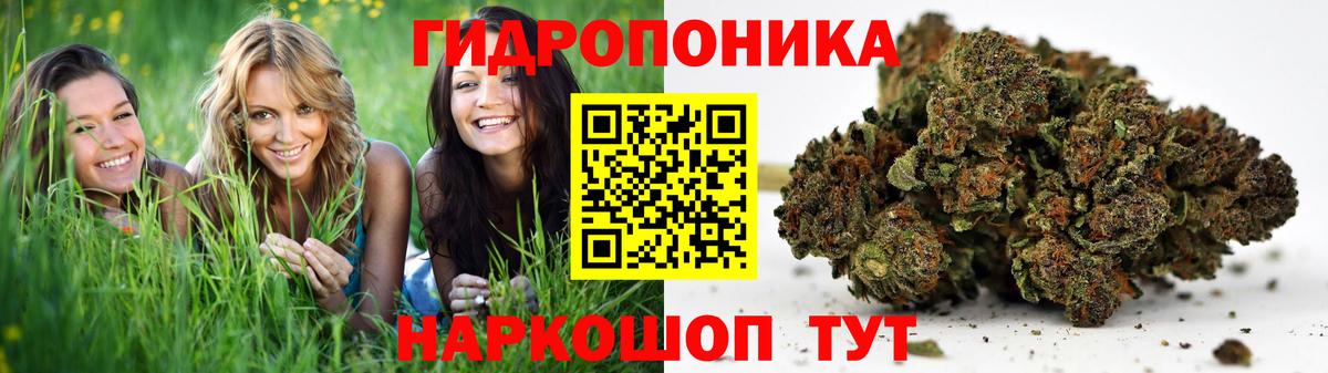 Бошки марихуана OG Kush Югорск